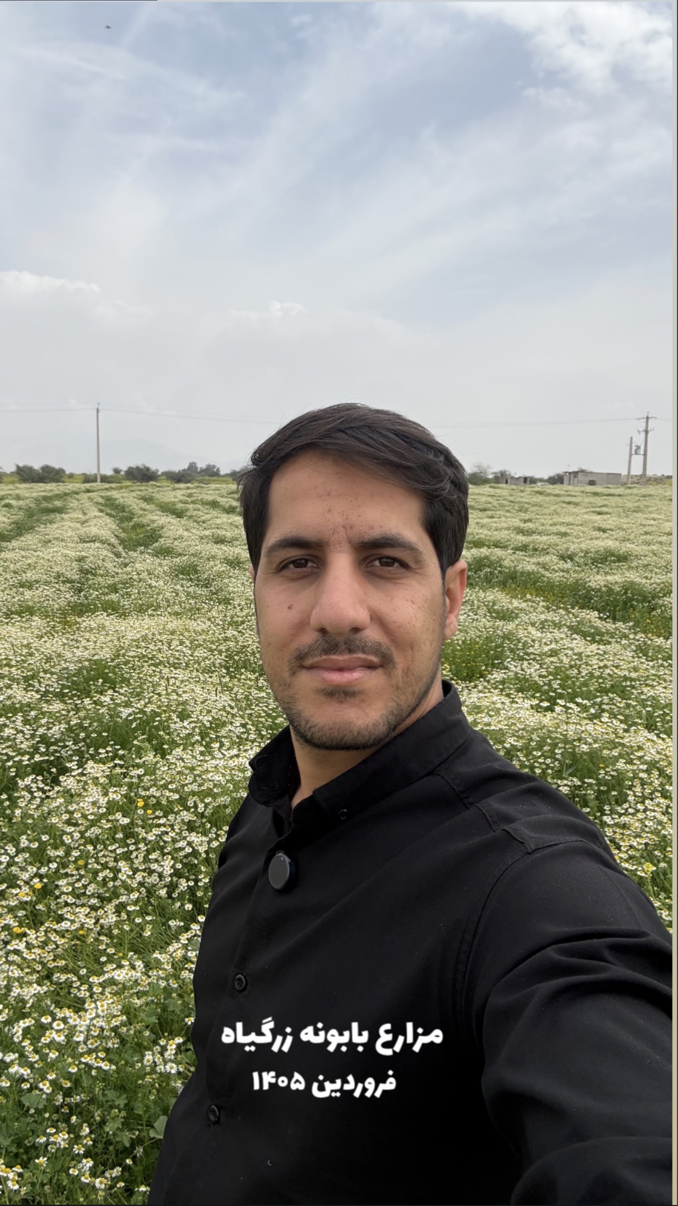 مزرعه بابونه 1405